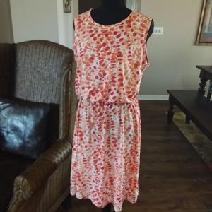 Salon Studio Ladies Sleeveless Dress